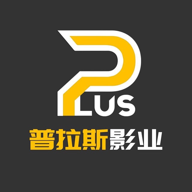普拉斯影业(PlusMedia)频道：普拉斯影业群组：频道关联群组账号类型：公共账号简介：         普拉斯分为公益服和机场服